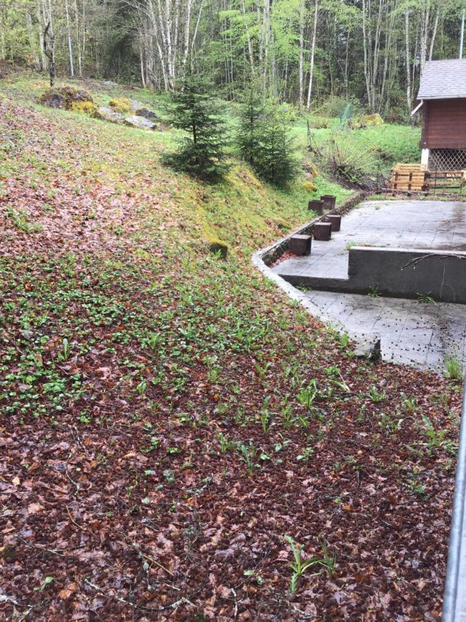 Le Refuge Apparts Et 1Chalets A Samoens 74 Kültér fotó